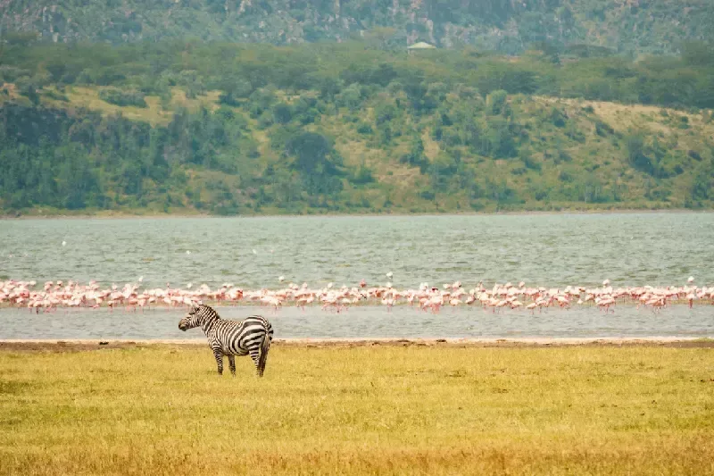 Footprints of Africa